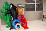 Pool Toys